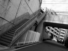 P1100154-1