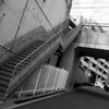 P1100154-1