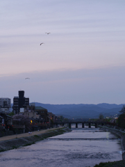鴨川