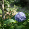 SDIM0851