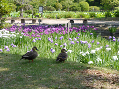 日陰で一休み