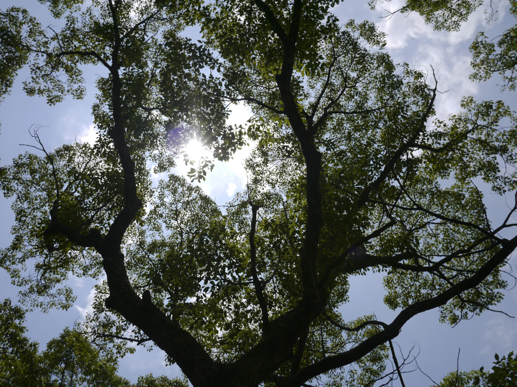 P1110464_2