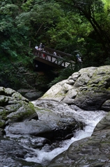 渓流(赤目四十八滝)