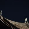 宇治平等院