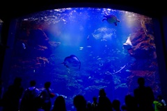 京都水族館☆