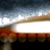 雪の雫