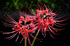 花火のような火花のような☆