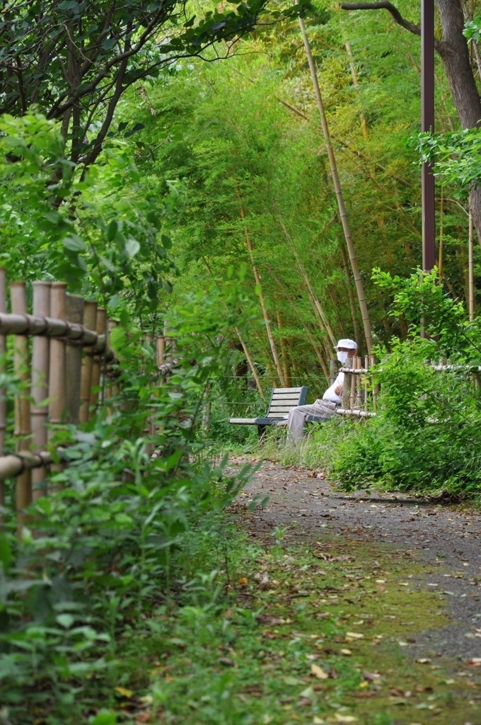 公園（道）