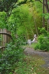 公園（道）