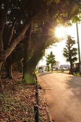 何気ない『道』