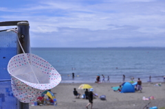 夏写真