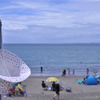夏写真