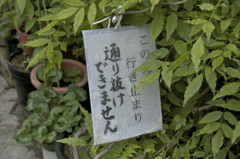 行き止まり