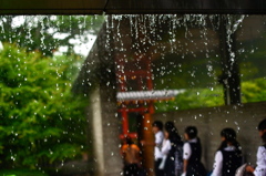 雨の修学旅行