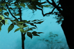 湖