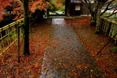 丹波紅葉円通寺