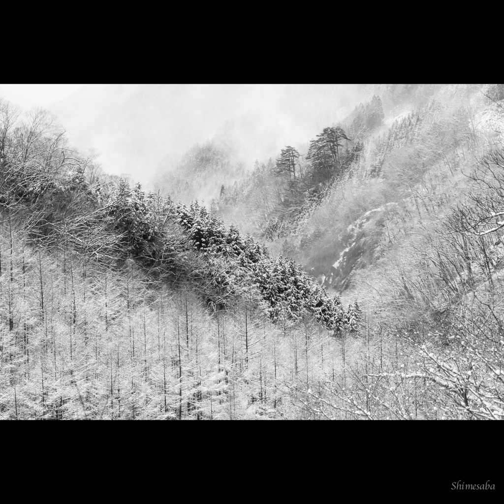 風雪