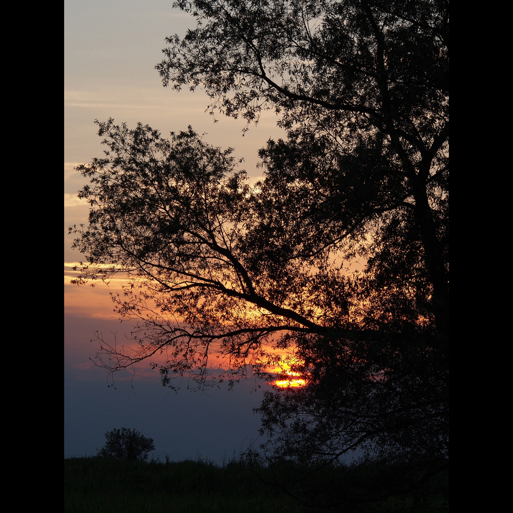 やすらぎの夕陽