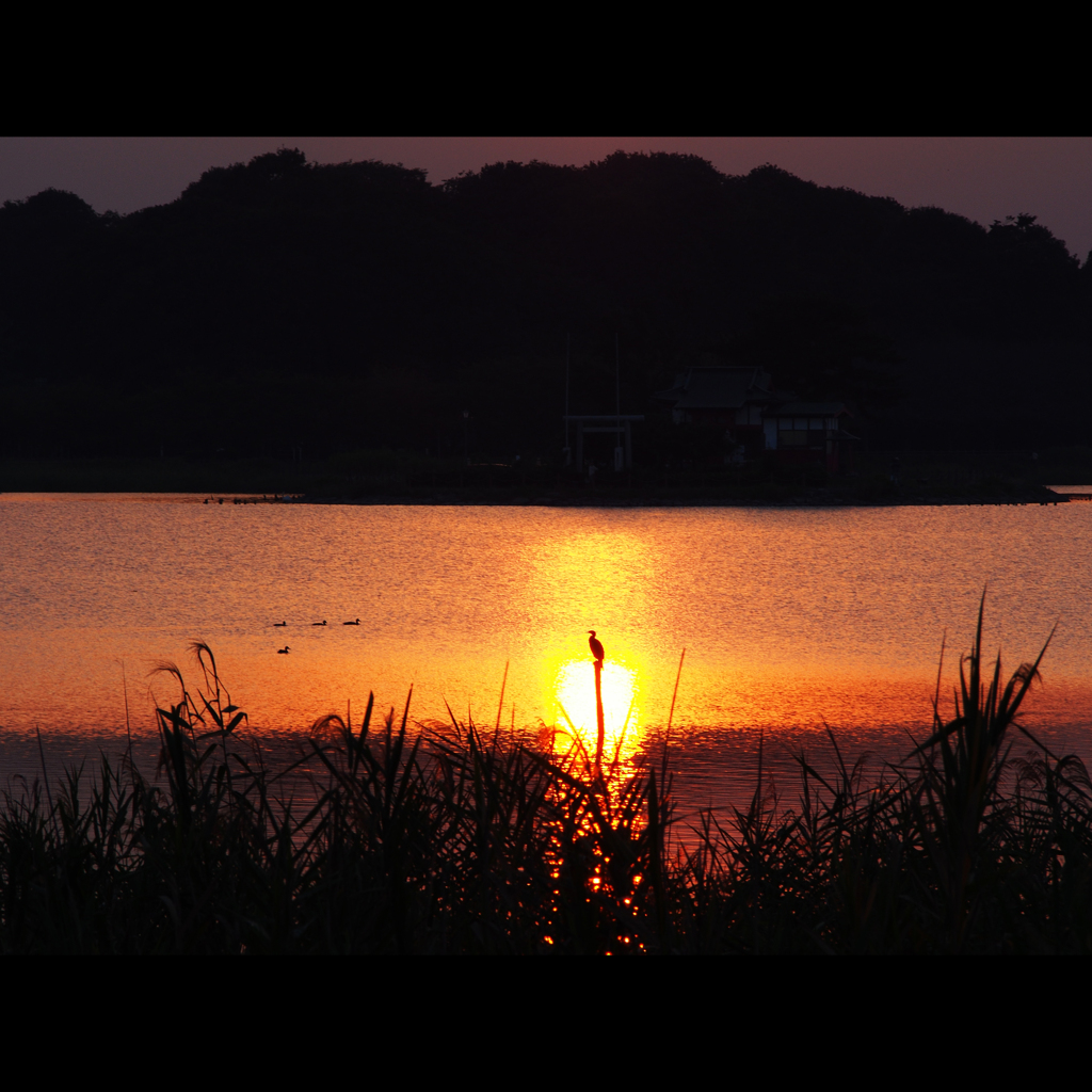 多々良の夕陽