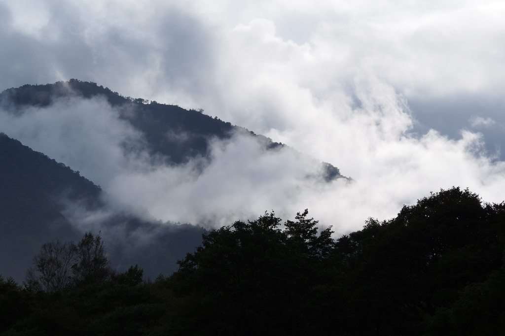 雨上がり