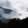 雨上がり