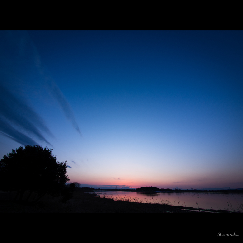 OMD12706-1