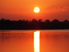 利根川の夕陽