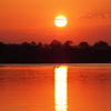 利根川の夕陽