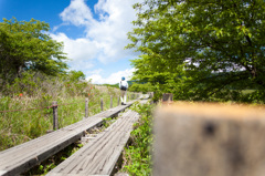 遊歩道