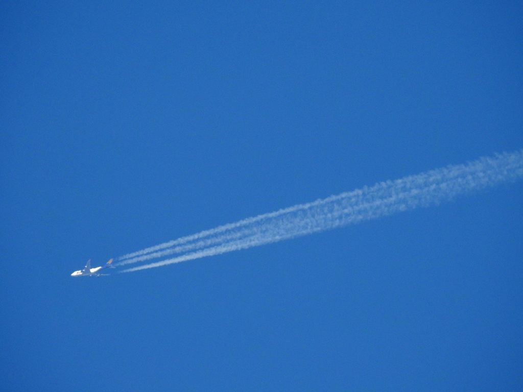 碧いカンバス　DSCN4178