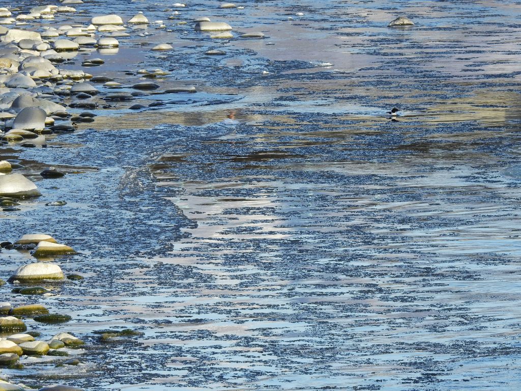 流れる氷　DSCN2518