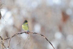 久しぶりだね　　DSC_2994