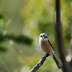 撮れた？　　DSC_3398
