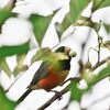 どこで食べようかな・・・　　　DSC_1081