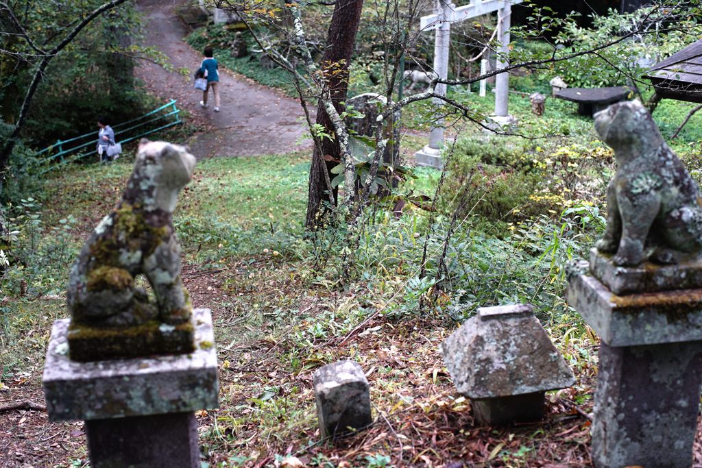 峠の分かれ道　DSC02878