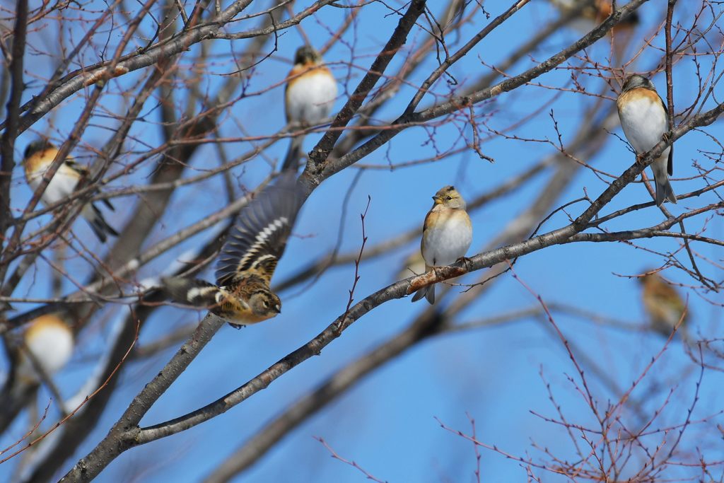 お先に～！　DSC_5806