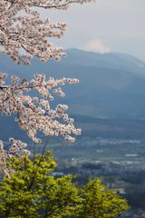 季節のリレー（浅間山）　　DSC_2466