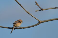 何かいる　DSC_5278