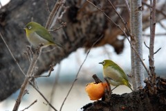 お腹一杯になったね・・・　DSC_2926