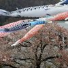 空を泳ぐ　DSCN4902