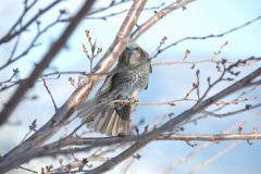 文句ある？　　DSC_2069