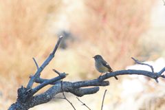 やっと会えたね！　　DSC_5543