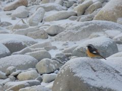 危ないよ・・・　DSCN2500