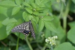 場所をかえて　DSC_2880