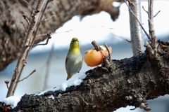 え？何か？　DSC_2663