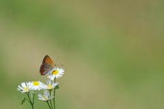 背景 ３　DSC_5955