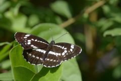 今日も会えたね　DSC_5482