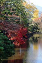お堀の紅葉　DSC_4096