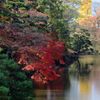 お堀の紅葉　DSC_4096