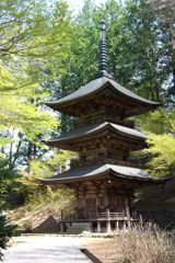 新緑の貞祥寺三重塔　DSC_1787